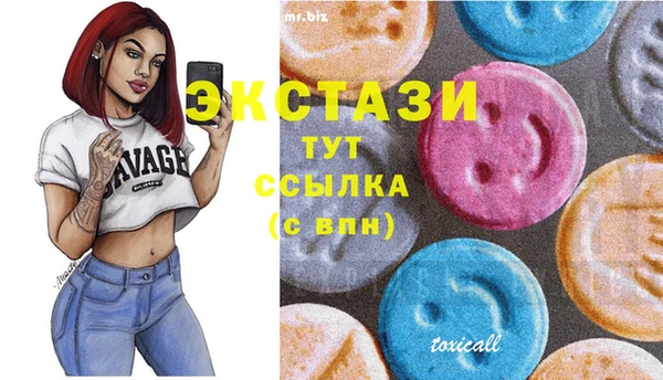 хмурый Алексин