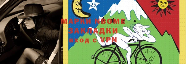 хмурый Алексин