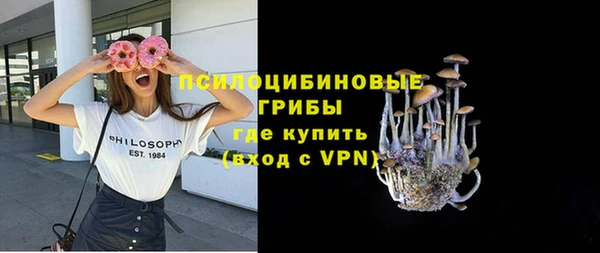 молекула духа Абинск