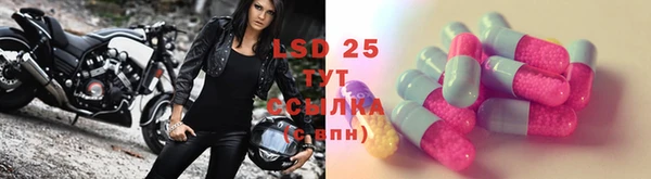 ECSTASY Алзамай