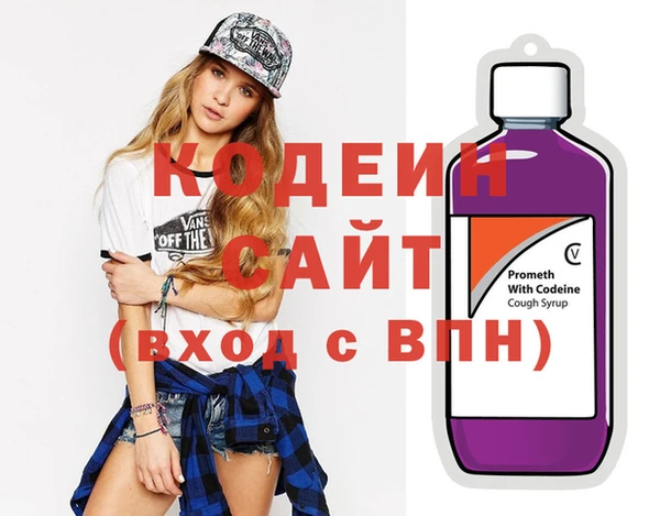 хмурый Алексин