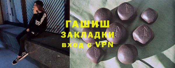 хмурый Алексин