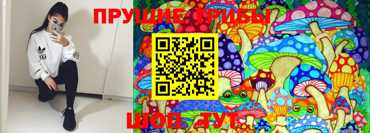 Галлюциногенные грибы прущие грибы Тюмень